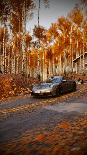 High-end car going down the hill in autumn