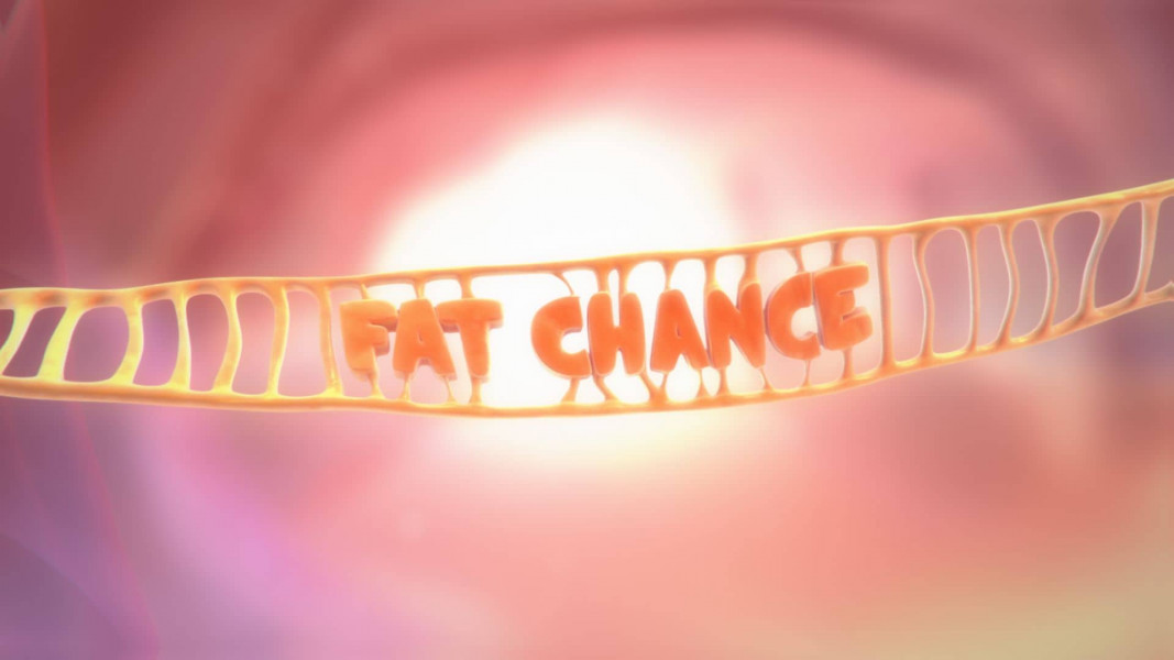 3D Cartoon Fat Chance
