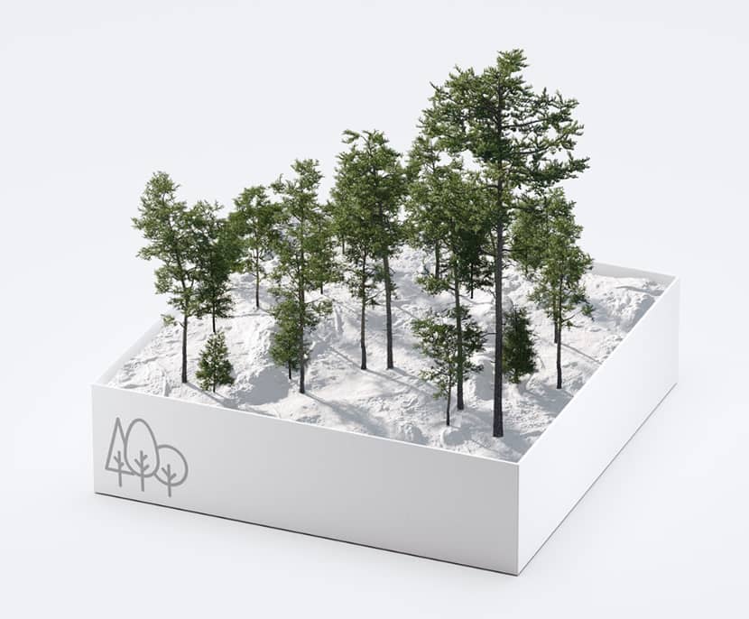 The Making of "House In The Forest" by Jaroslaw Piszczek