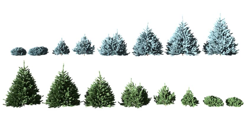 The Making of "House In The Forest" by Jaroslaw Piszczek