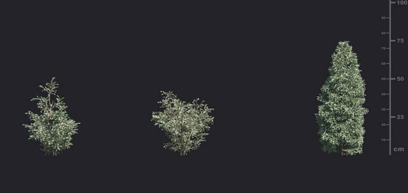 The Making of "House In The Forest" by Jaroslaw Piszczek